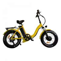 Best selling fat tire bicycle beach cruiser bikes 1000w electric bike for adult